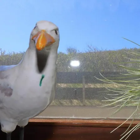 Haus-alice-riebschlaeger-34-7